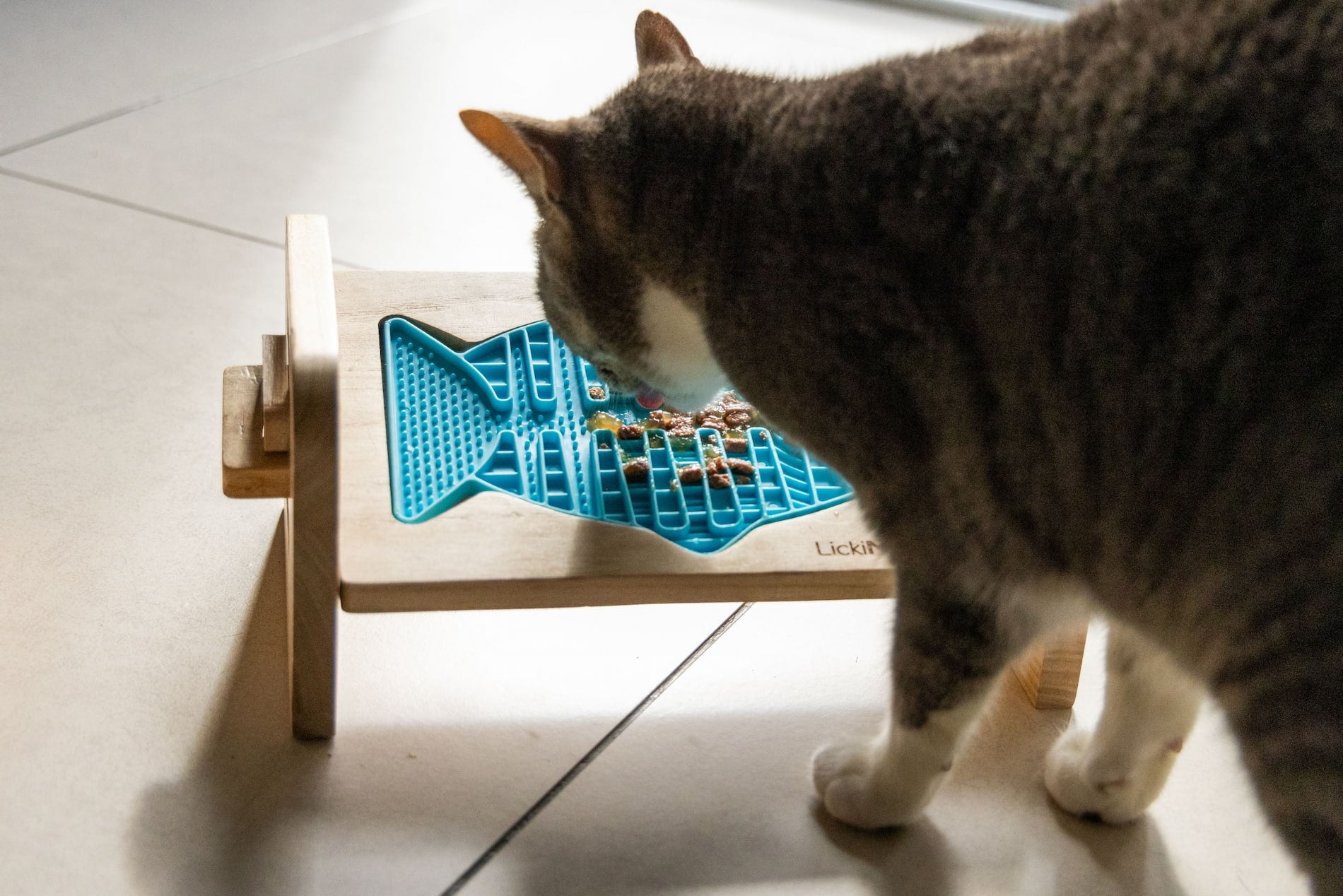 Enhancers for Cats
