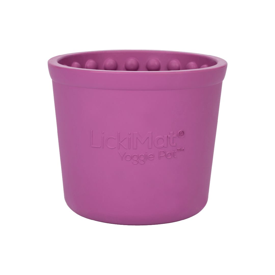 Purple Yoggie Pot - LickiMat® Mega Dog Bundle – Lick Mats, Dog Bowls & Slow Feeders