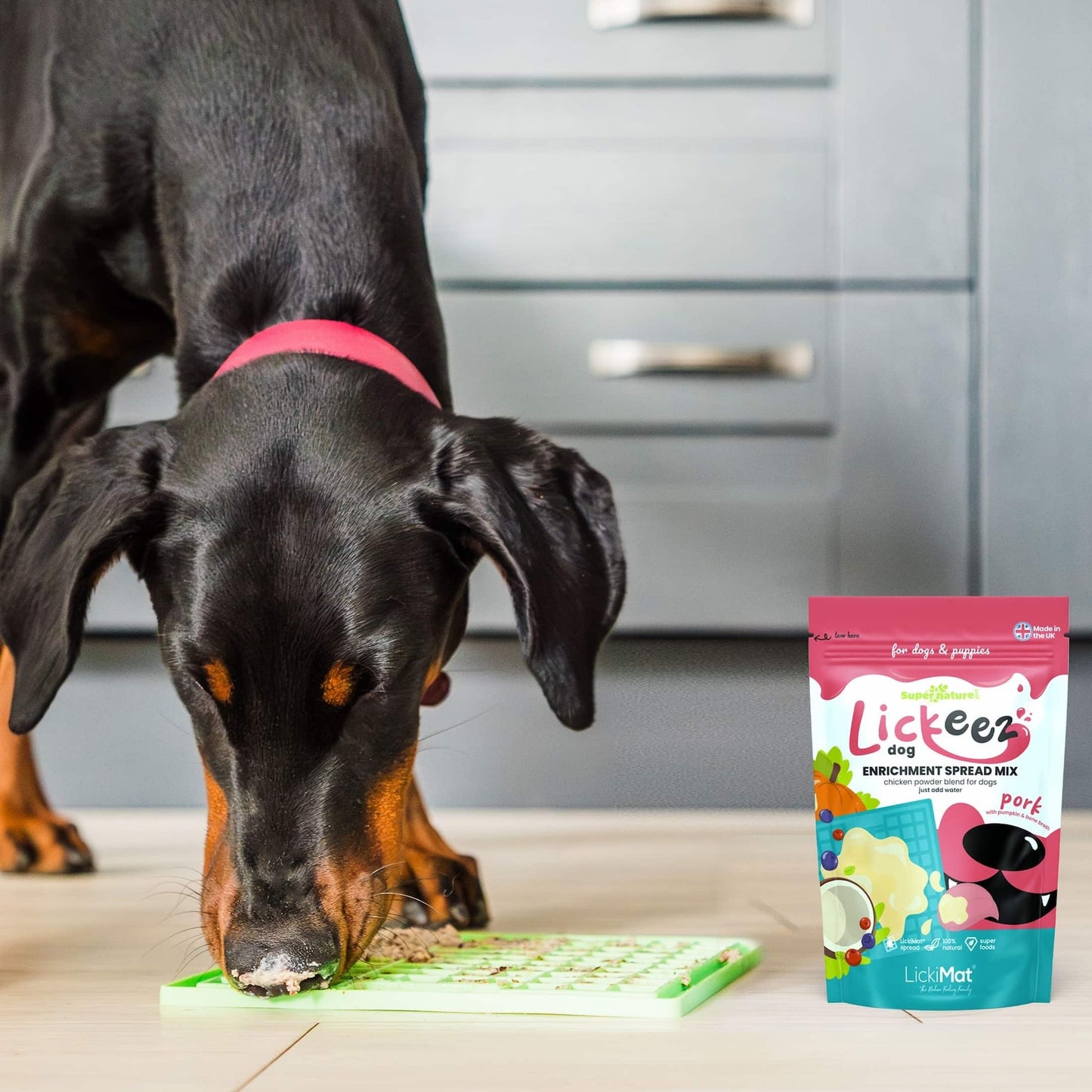 Dog eating Lickeez with a package of Lickeez dog treat mix in the foreground.