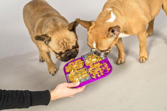 Which LickiMat For A French Bulldog?