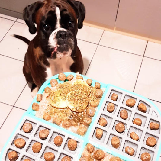 The perfect no mess slow feeder your Boxer