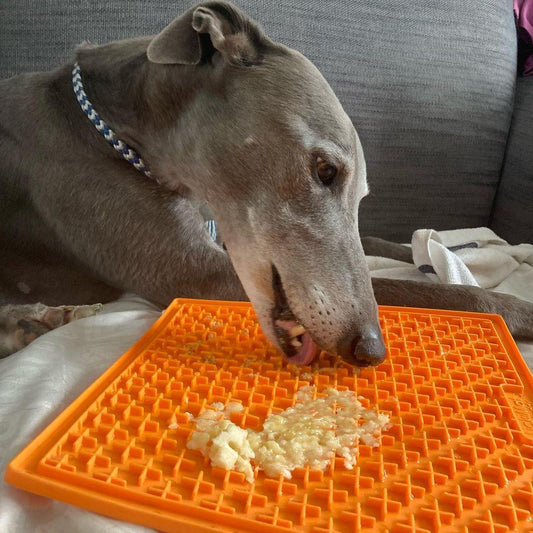 What can I put on my Greyhounds LickiMat?