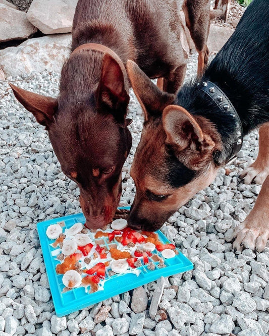 Fruit and Vegetables your Kelpie will love to Lick from their LickiMat
