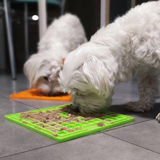 Keep your Maltese happy with a LickiMat Classic