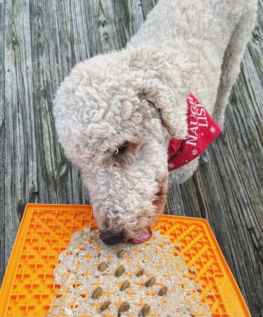 Keep your Poodle entertained for longer with an X Large LickiMat