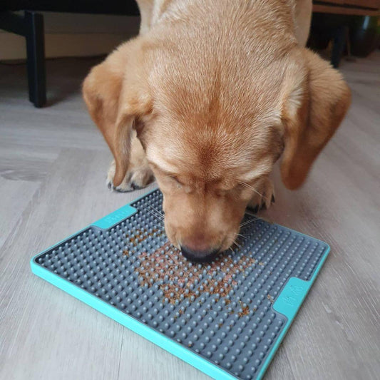 What LickiMat for a Puppy?