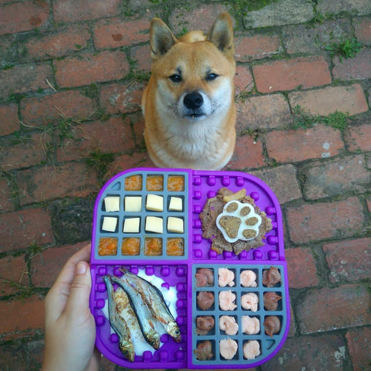 The Right LickiMat for a Shiba Inu.