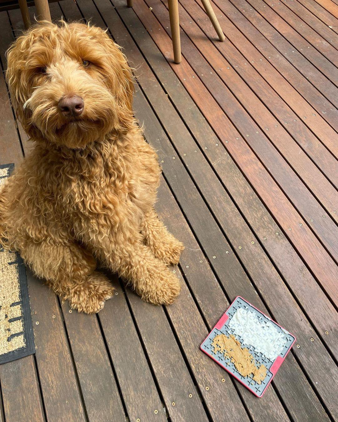 What Can I spread on a LickiMat?