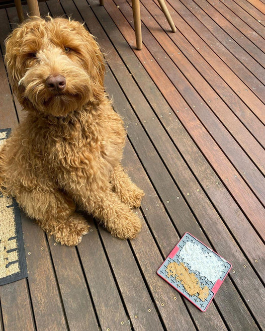 What Can I spread on a LickiMat?