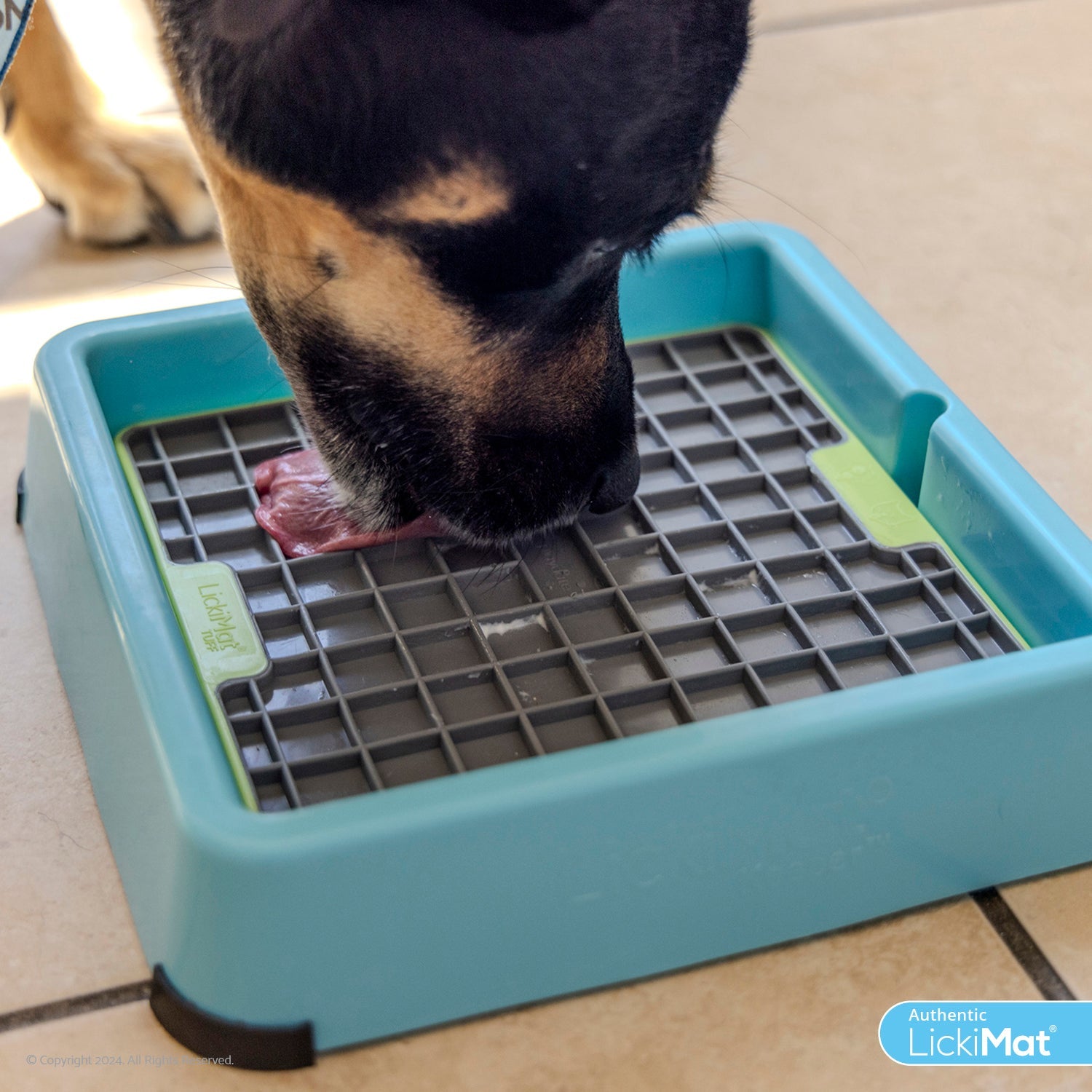 Enhancers for Dogs