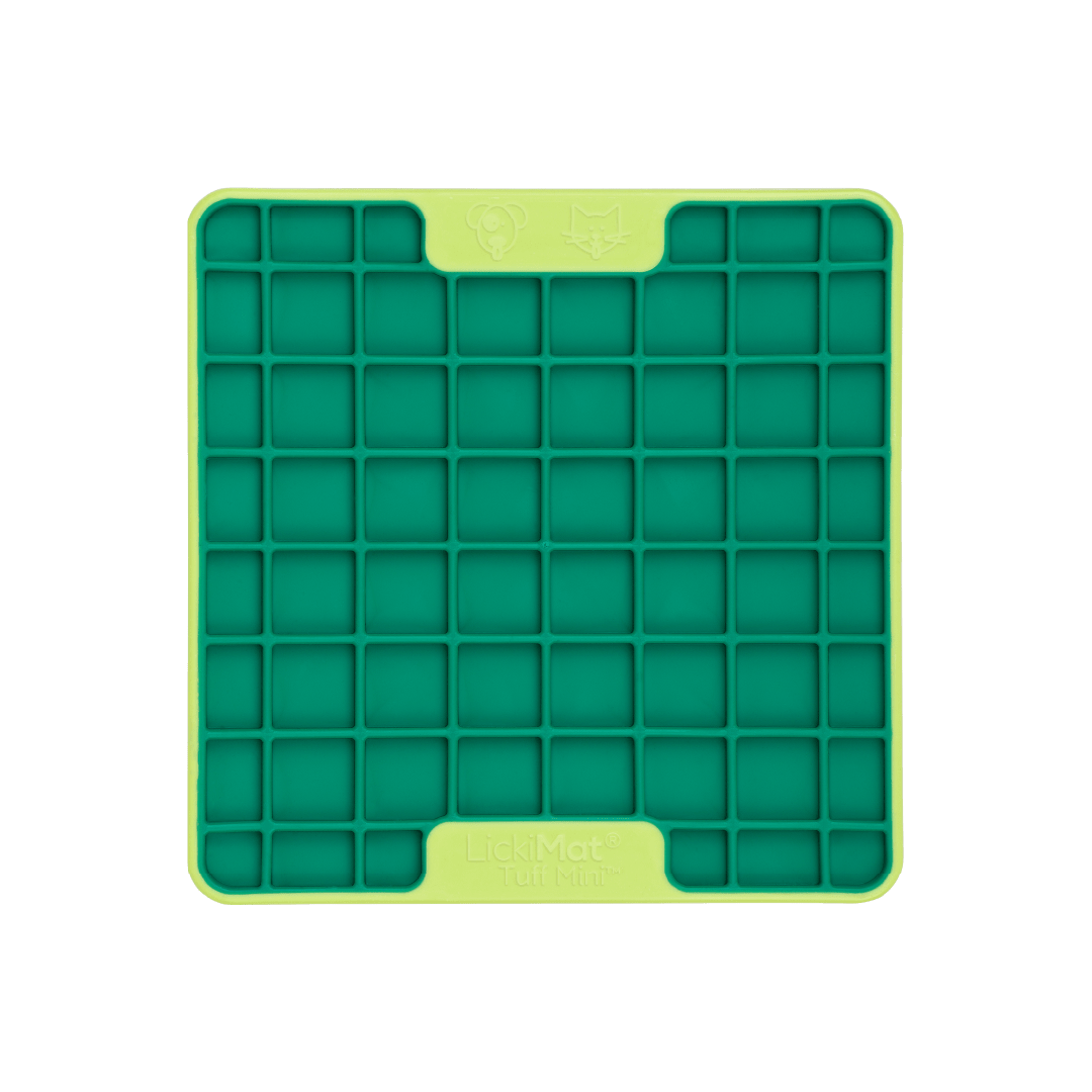 Green Mini Tuff Playdate LickiMat® Kitten Bundle – Starter Lick Mats for Feeding & Hydration