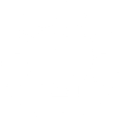 Training & Distraction Aid