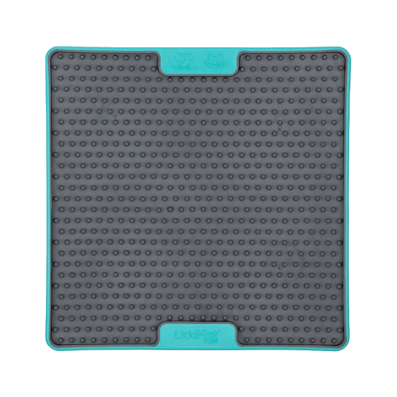 Training Bundle